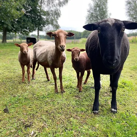 Apartman In Loft Luxe De Vossenberg Etten-Leur