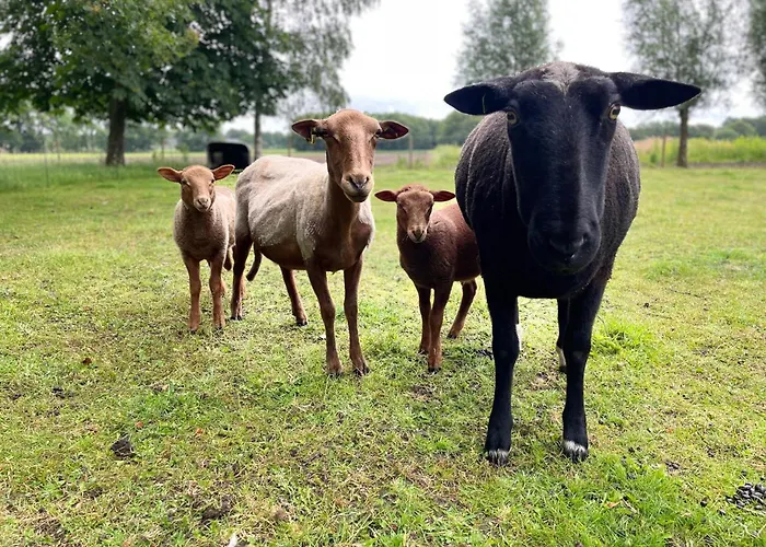Appartamento In Loft Luxe De Vossenberg Etten-Leur